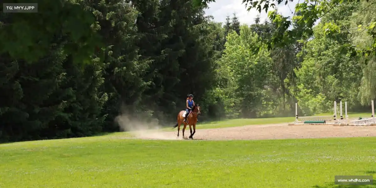 yy易游🎾球拍扬起的瞬间，每一次对决都是新的挑战！